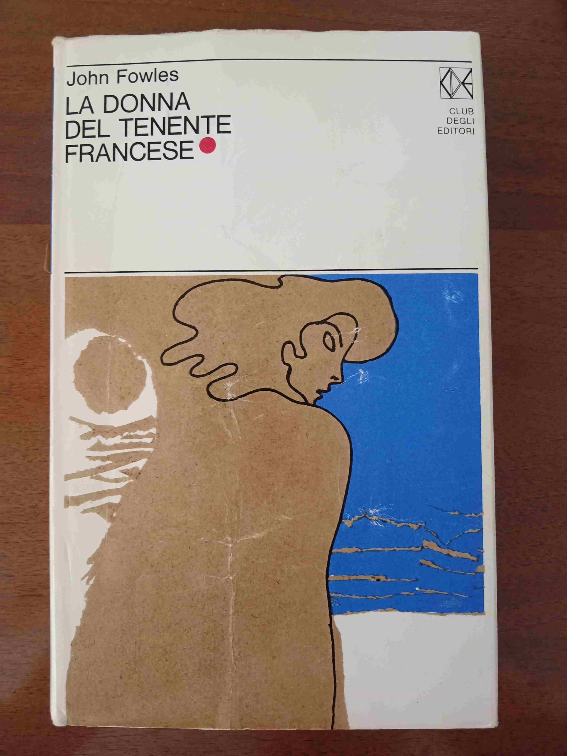 Copertina del libro