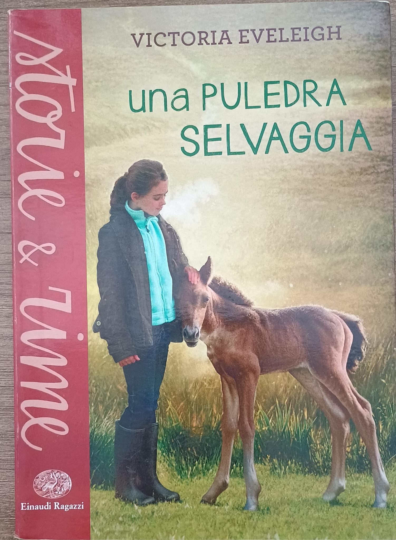 Copertina del libro