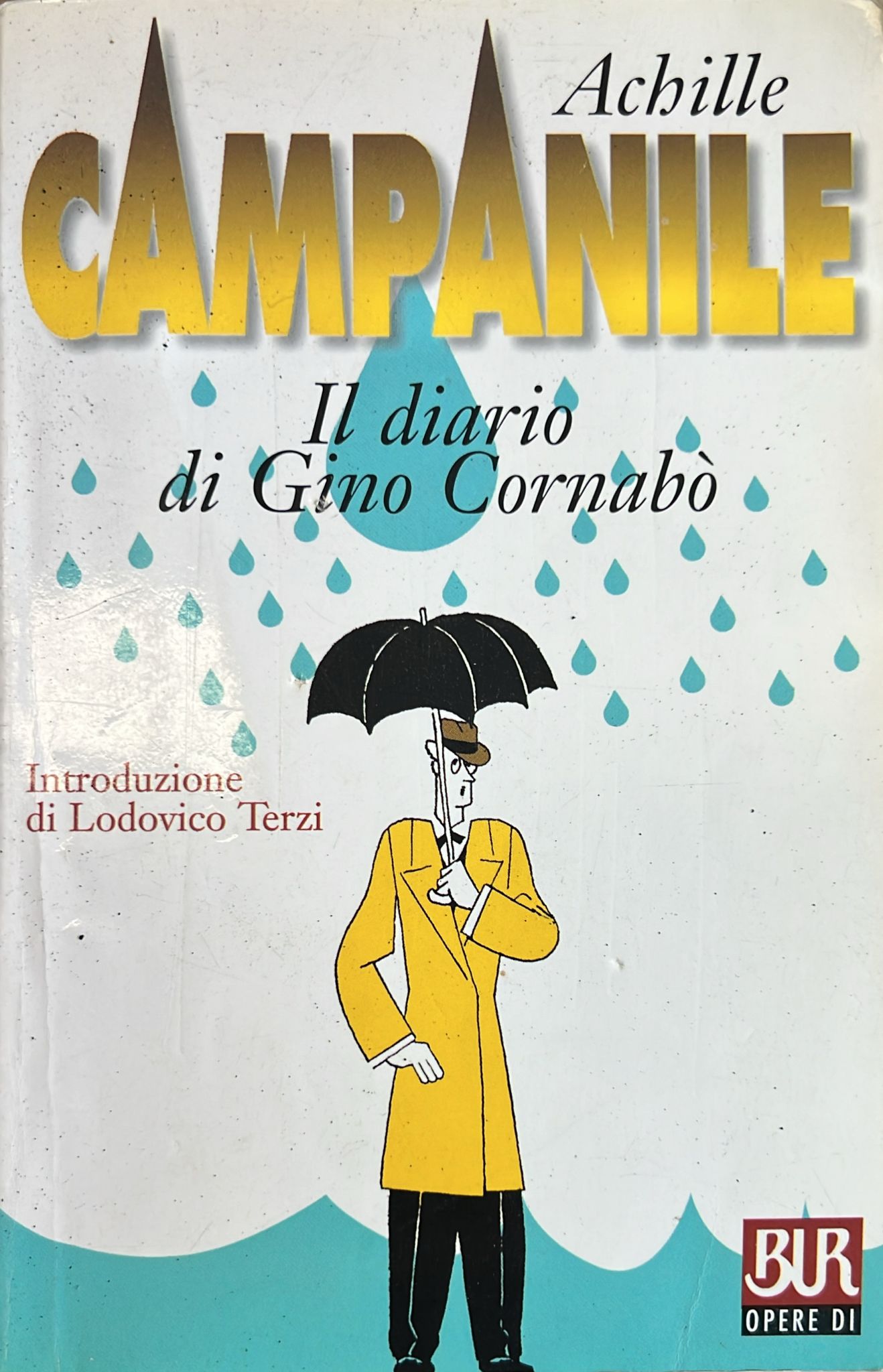 Copertina del libro