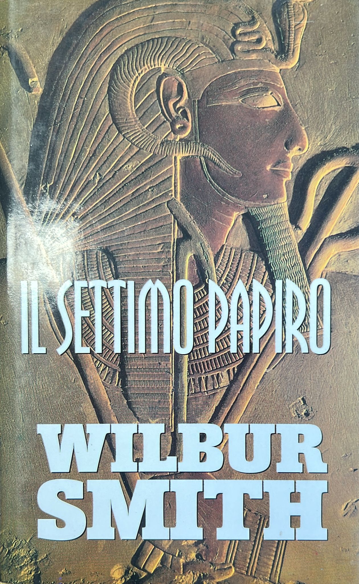 Copertina del libro
