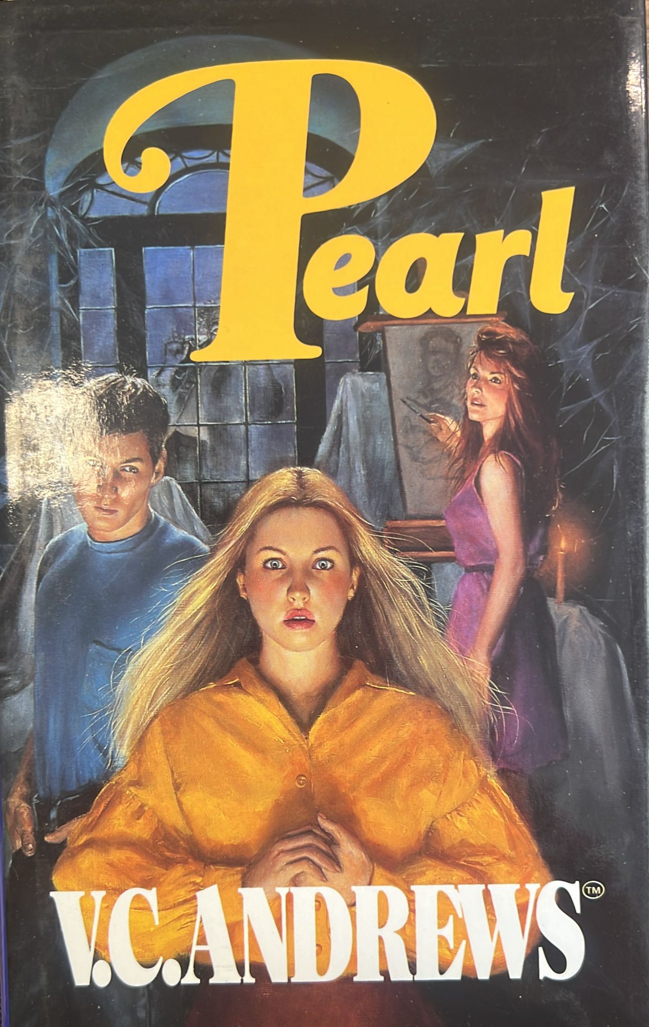Copertina del libro
