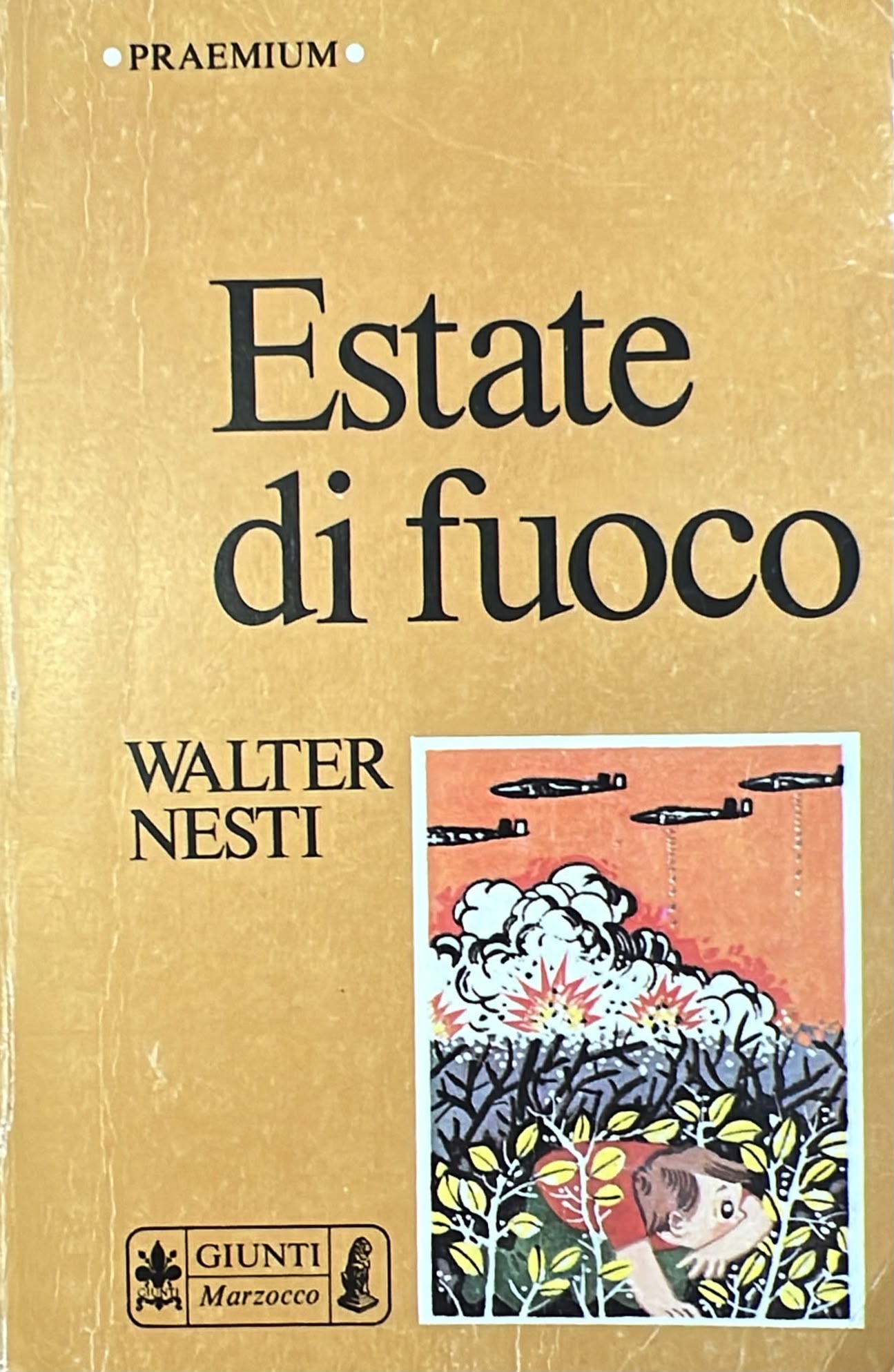 Copertina del libro